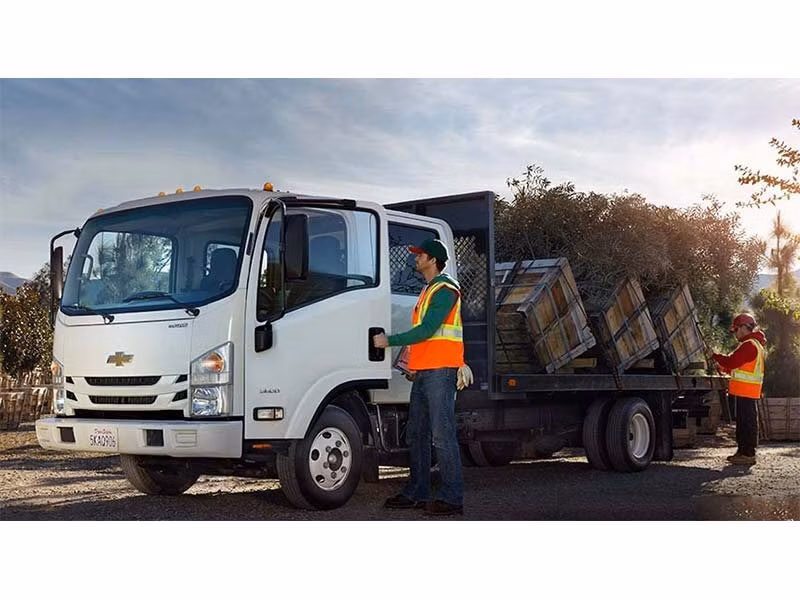 2025 Chevrolet Low Cab Forward Trucks - Image 1
