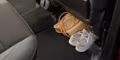 2025 Chevrolet TRAILBLAZER ACTIV (AWD) - Image 24