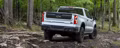 2025 Chevrolet SILVERADO High Country Crew Cab, Short Bed (4WD) - Image 6
