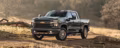 2025 Chevrolet SILVERADO 2500 HD WORK TRUCK - Image 14